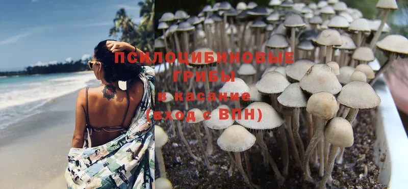 Галлюциногенные грибы Magic Shrooms Чебоксары